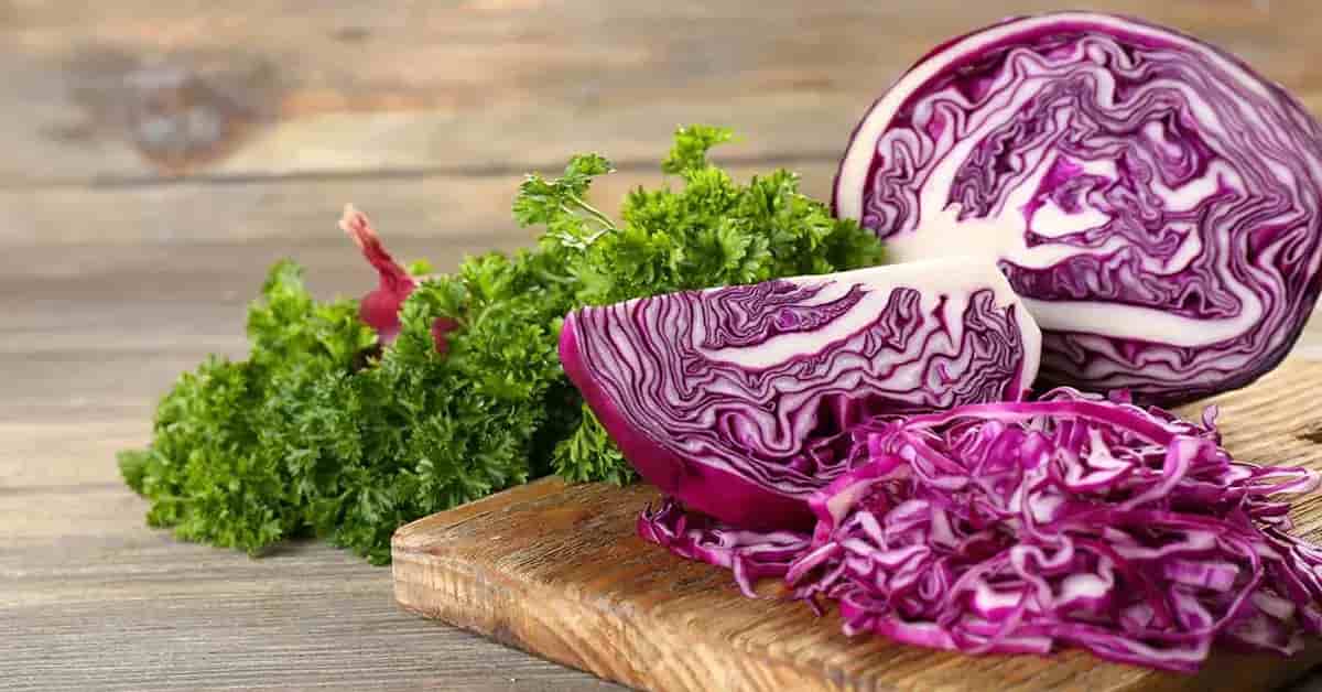 تصویر 1 از خرید کلم قرمز مجلسی+ قیمت فروش استثنایی